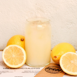 NAMŲ DARBO LIMONADAS 400 ml